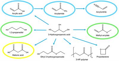 Production of 3-Hydroxypropanoic Acid From Glycerol by Metabolically Engineered Bacteria